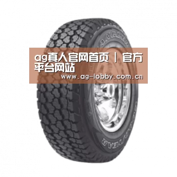 ag娱乐平台产品名称七